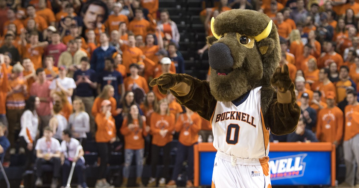 Bucknell Bison Logo History Quiz By mdesjardins