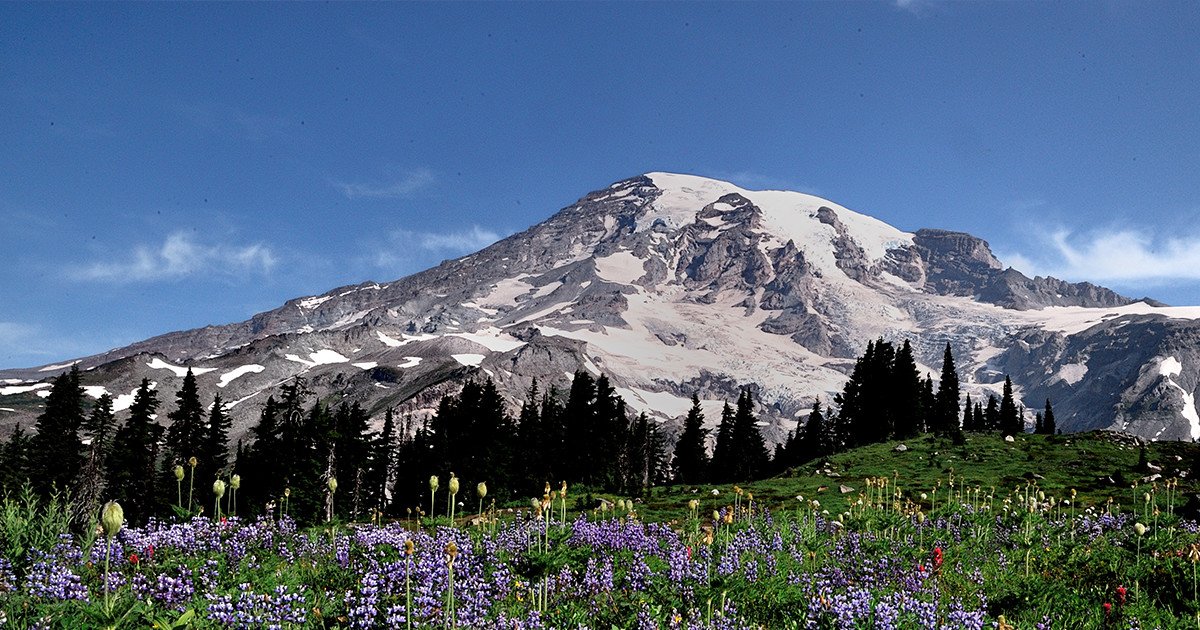 Washington State Typing Challenge Quiz By skhackett