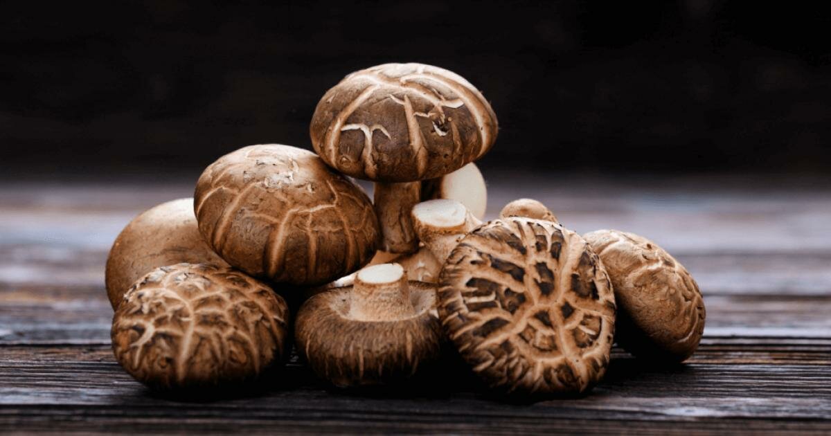 Order Up Shiitake Taxonomy! Quiz By sparkblip