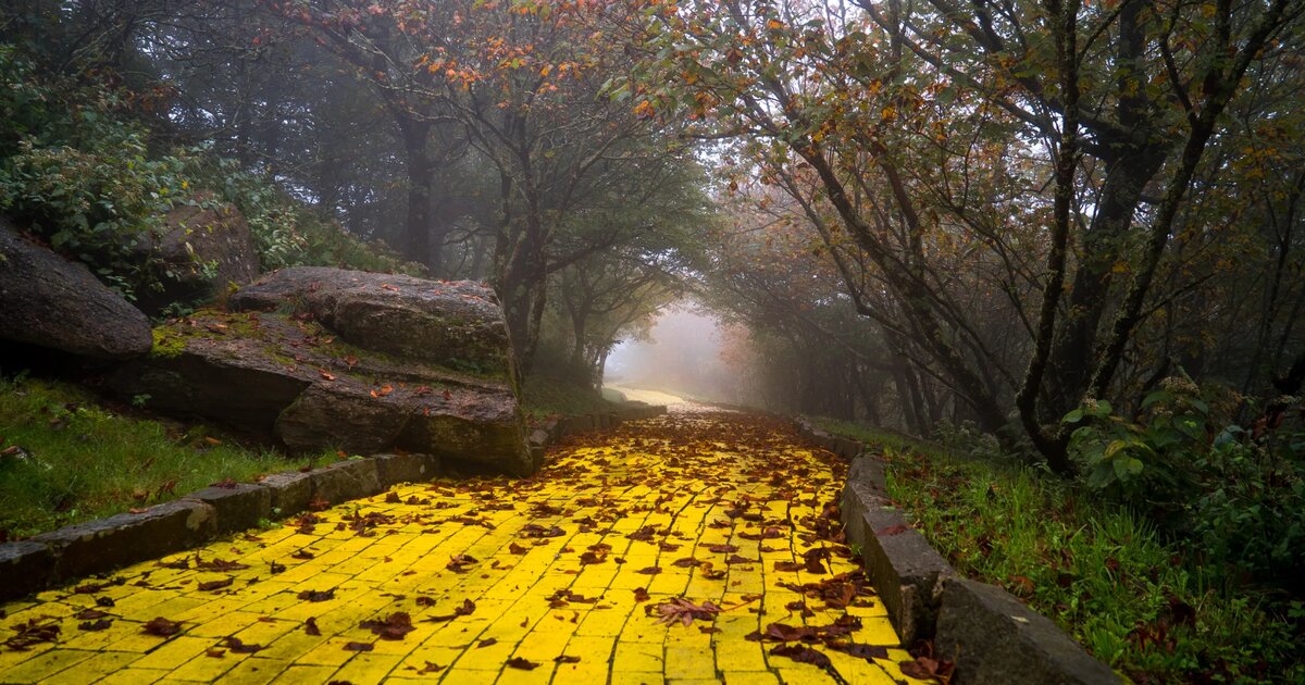 Weekly Diagramless Crossword Wild Quiz By tb_matt