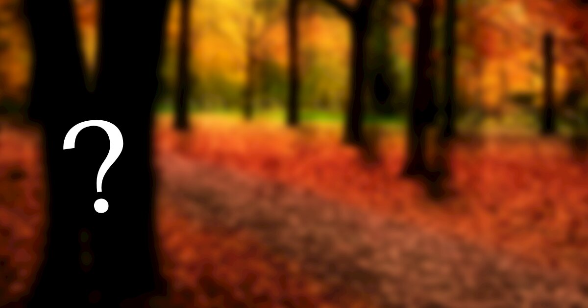 Trivial Twenty 215 Fall Ball 2 Quiz By chriscampbell11