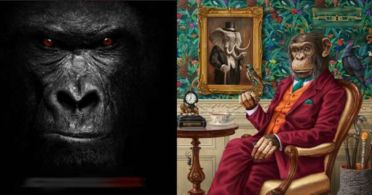 Monkeys on Album Covers Quiz By Bernerner63