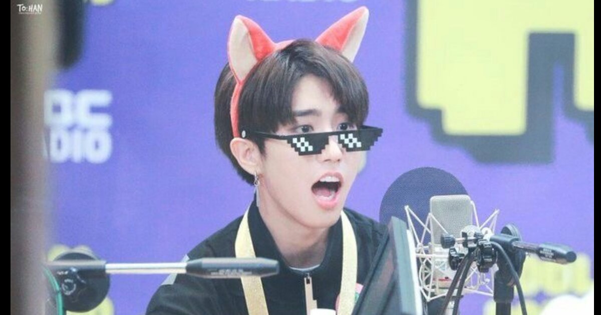 Human (Han) Stray Kids (english lyrics) Quiz By wobblycat