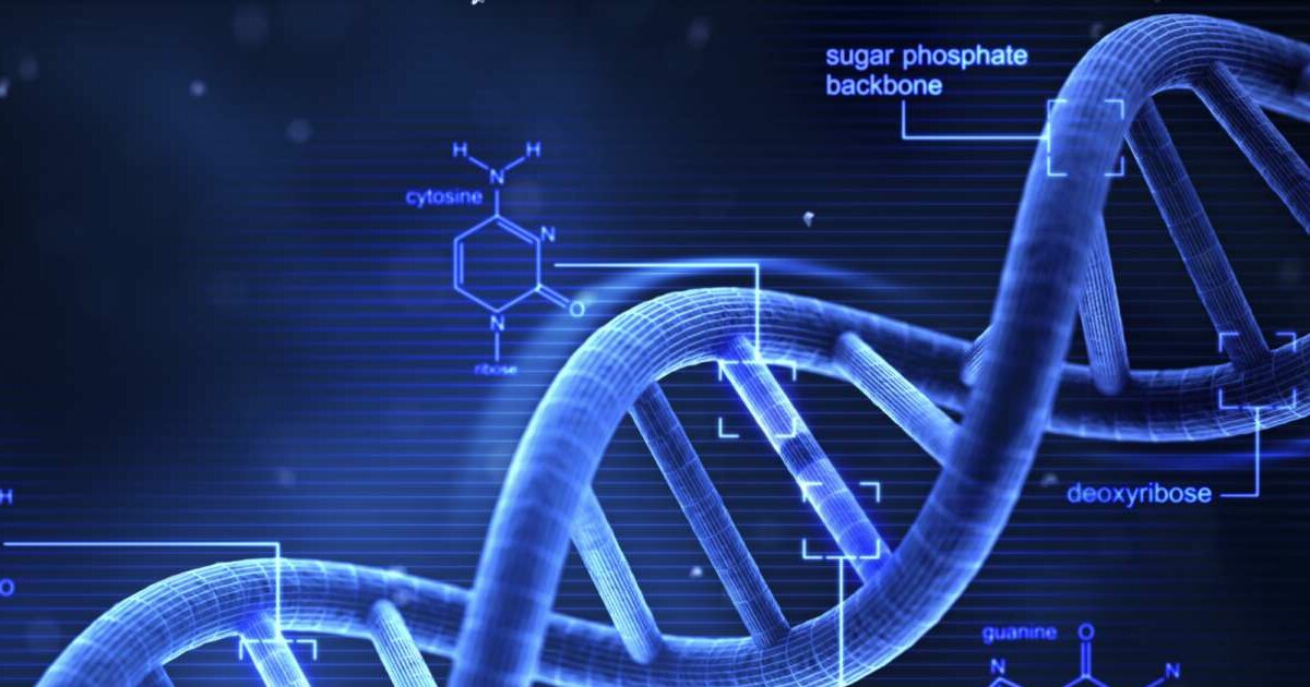 Biology Cell cycle Quiz Biology Diagrams