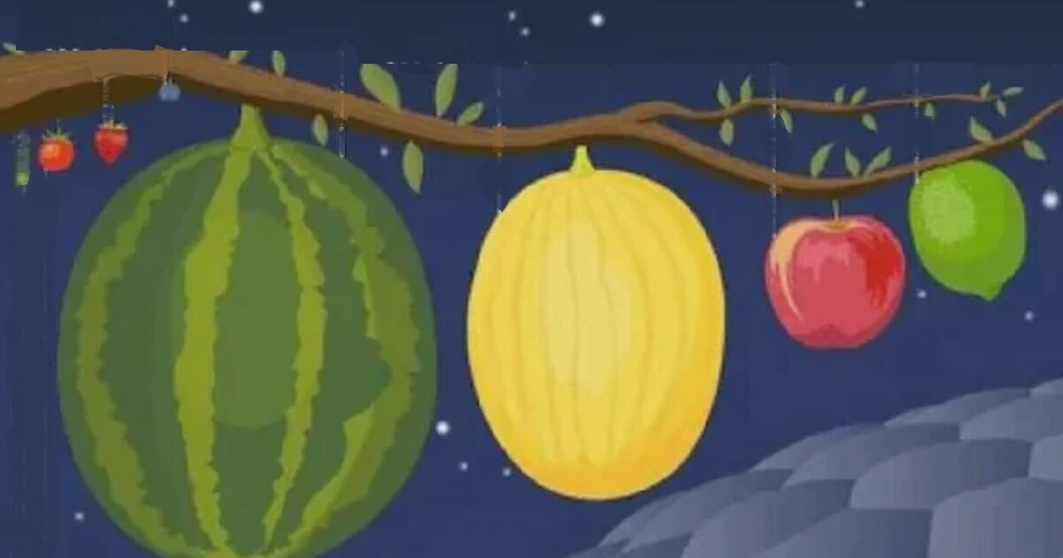 Short Order: If Planets Were the Size of Fruit Quiz - By jimbaz