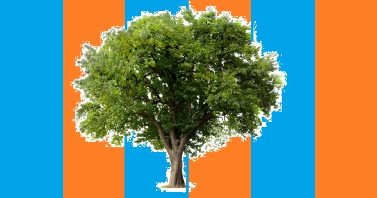 Killer Double Trees 313 - Colour Match-Up Quiz - By FGR