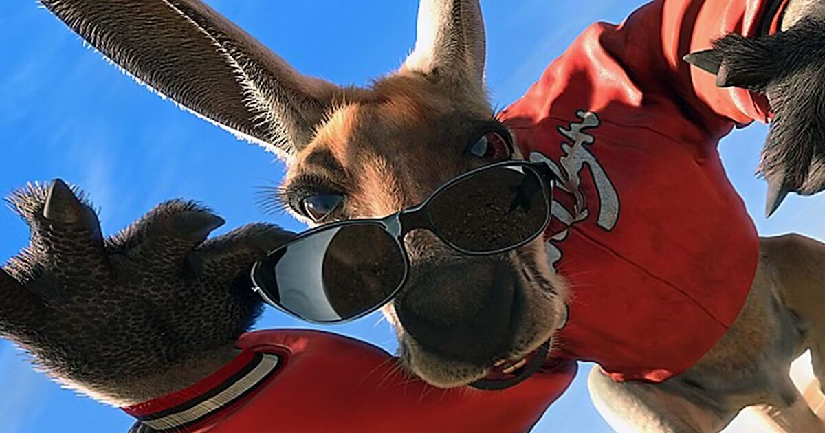 Kangaroo Jack Cast Quiz - By Jlegs610