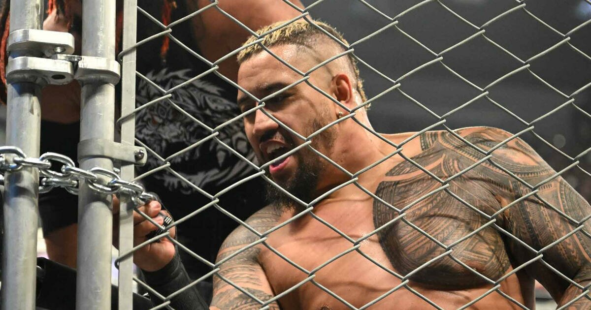 Most Eliminations in a Single Royal Rumble (Men) Quiz - By MrPredator