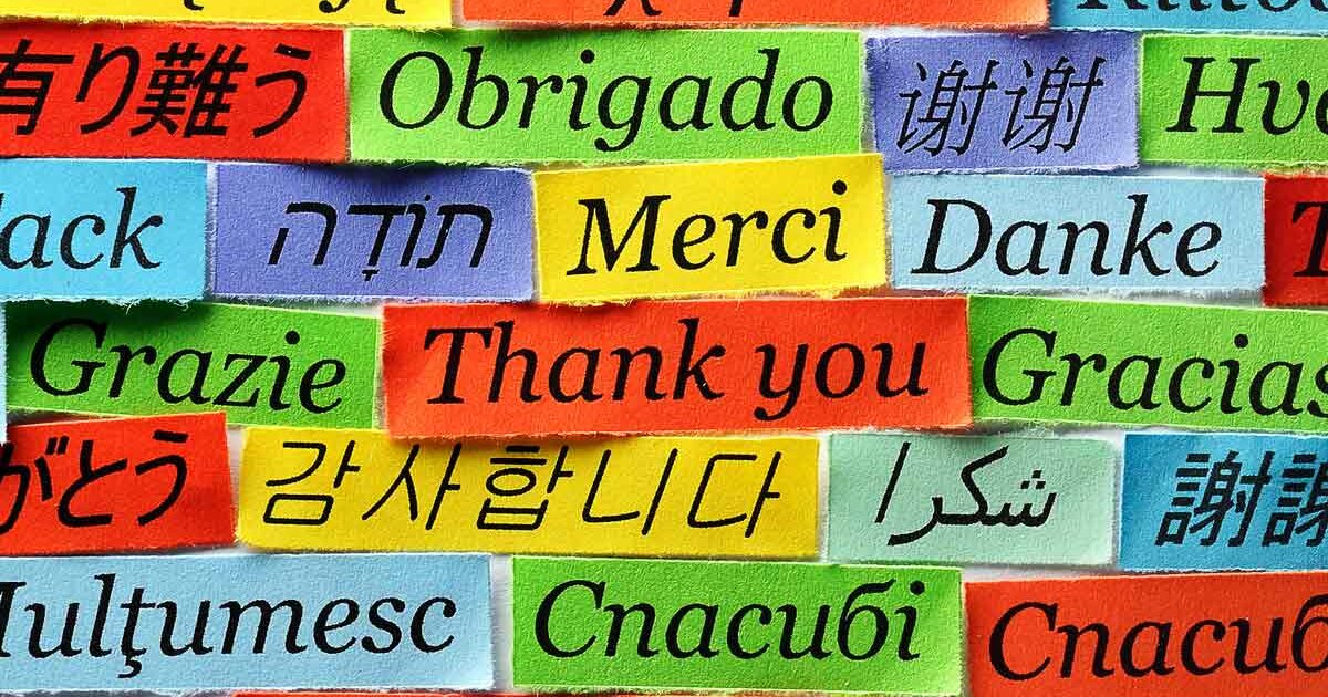 Words In Different Languages Basic words in 4 different languages (1) Quiz - By forgivemepeter