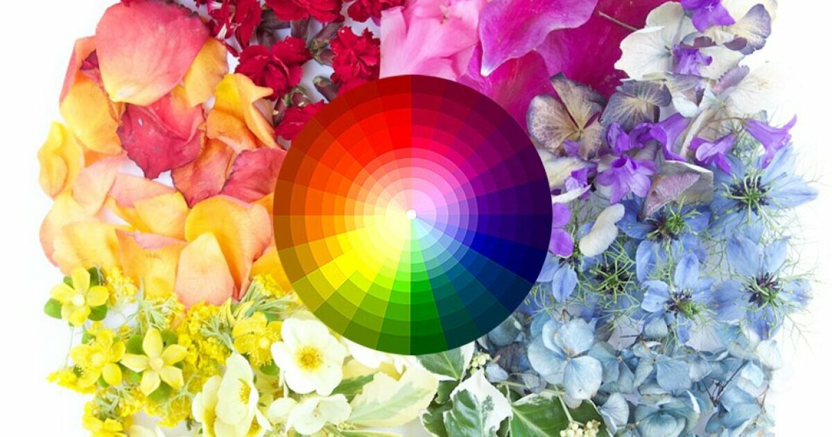 Color Choices: Sports Quiz - By Crossroads