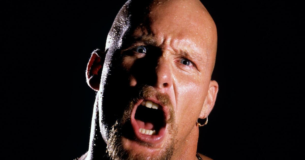 Don't Stick Your Other Nose in My WWE Match! Quiz - By MrPredator