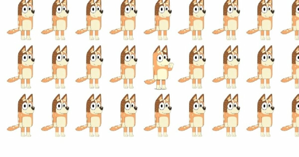 Bluey: Find the Odd One Out #20 Quiz - By Narduc