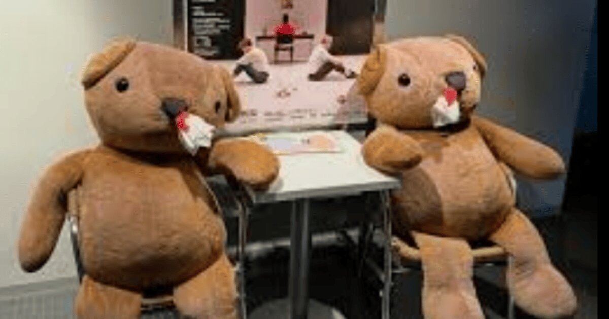 Teddy Bears in Harry Potter CVIII Quiz - By ceciliacarlid