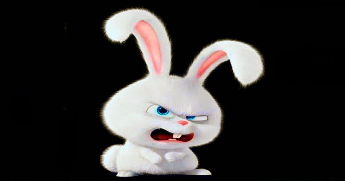 Who Rabbit Rough Bad Bunnies: Rough Rabbits from Pop Culture Quiz - By BBoy77