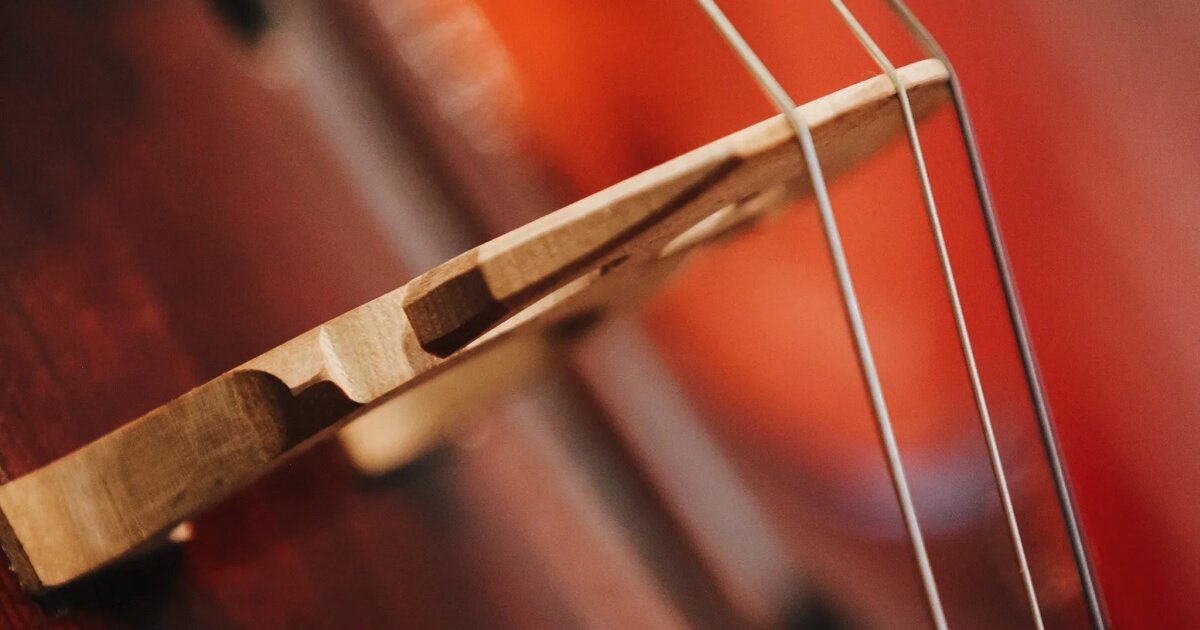 Unveiling: String Quartet Instruments Quiz - By Cutthroat