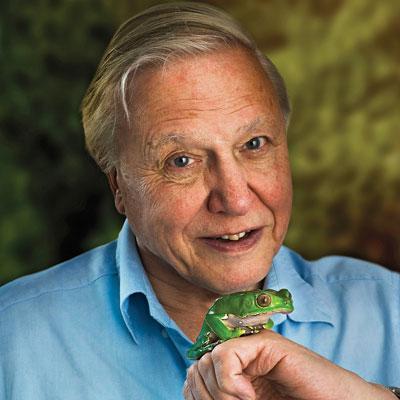 Animals with David Attenborough Quiz
