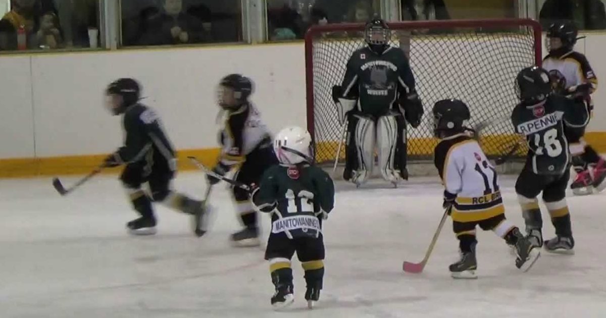 Short NHL Team Names Quiz