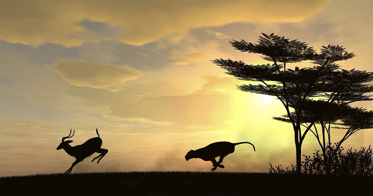4Letter African Country Blitz Quiz