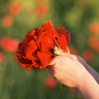 Red-Themed Trivia Quiz