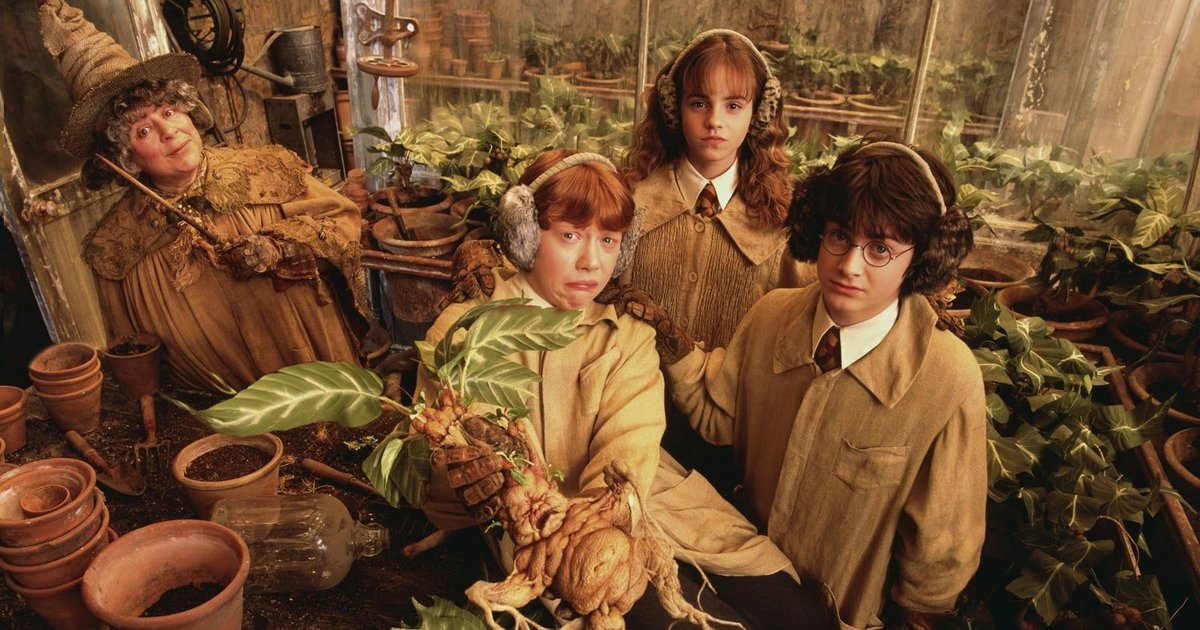 Hogwarts Herbology Exam Quiz