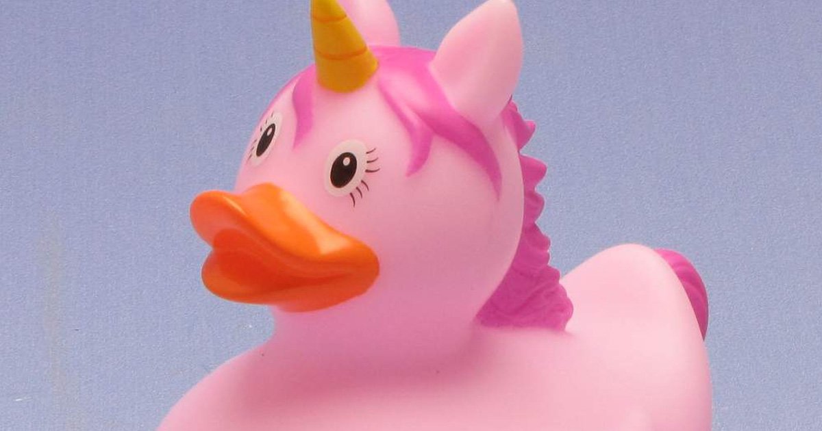 Rubber Ducks as Other Animals II Quiz