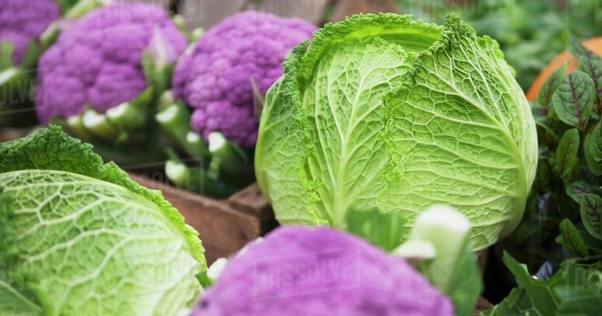 Brassica vegetables Quiz By ZYX