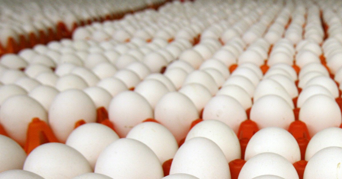 Top Egg Producing States Quiz
