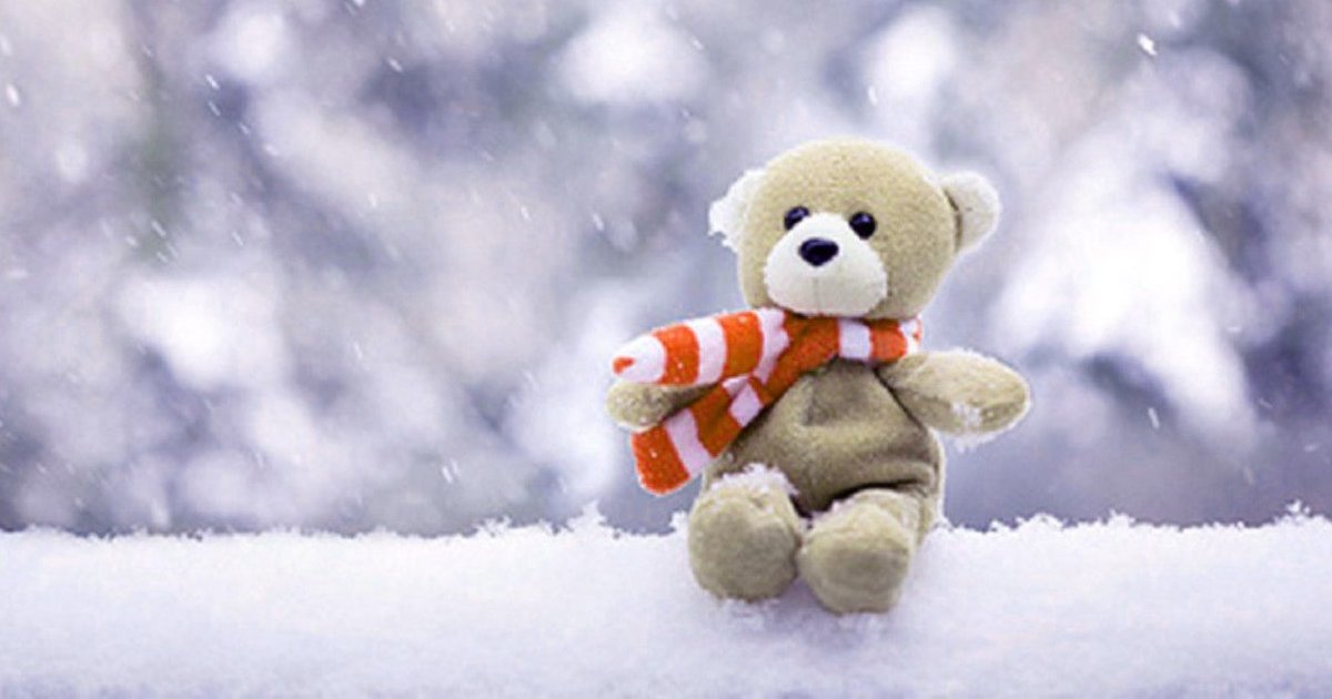 Seinfeld webseries ballinger colleen gamezone Winter Teddy Bears Quiz