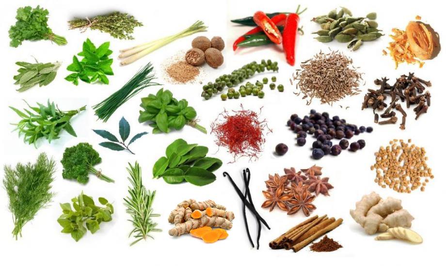 Find the Herbs and Spices! Quiz