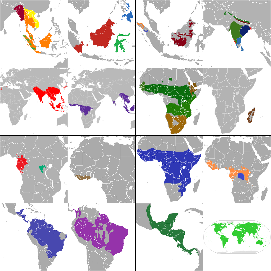 Primate Ranging Primate Ranges Quiz