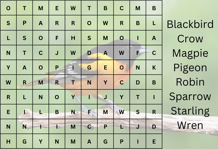 word-search-birds-quiz