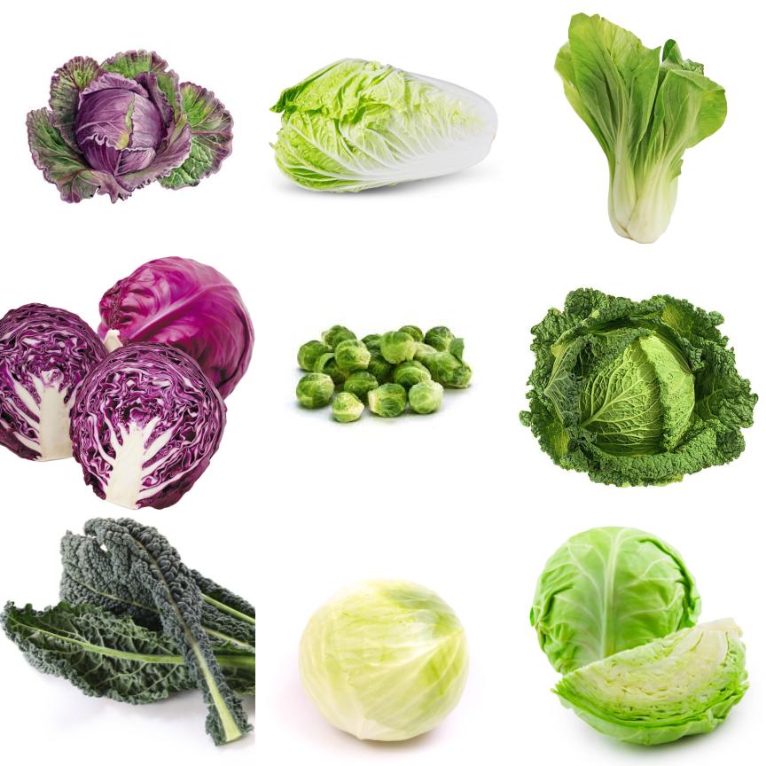 9 in 30 Cabbage Quiz By CooCooCachoo