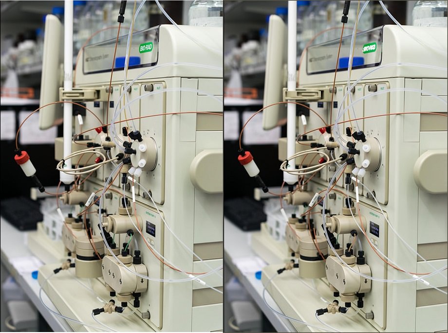 Spot Difference Science Spot The Difference Science Edition Quiz - By Macrobial
