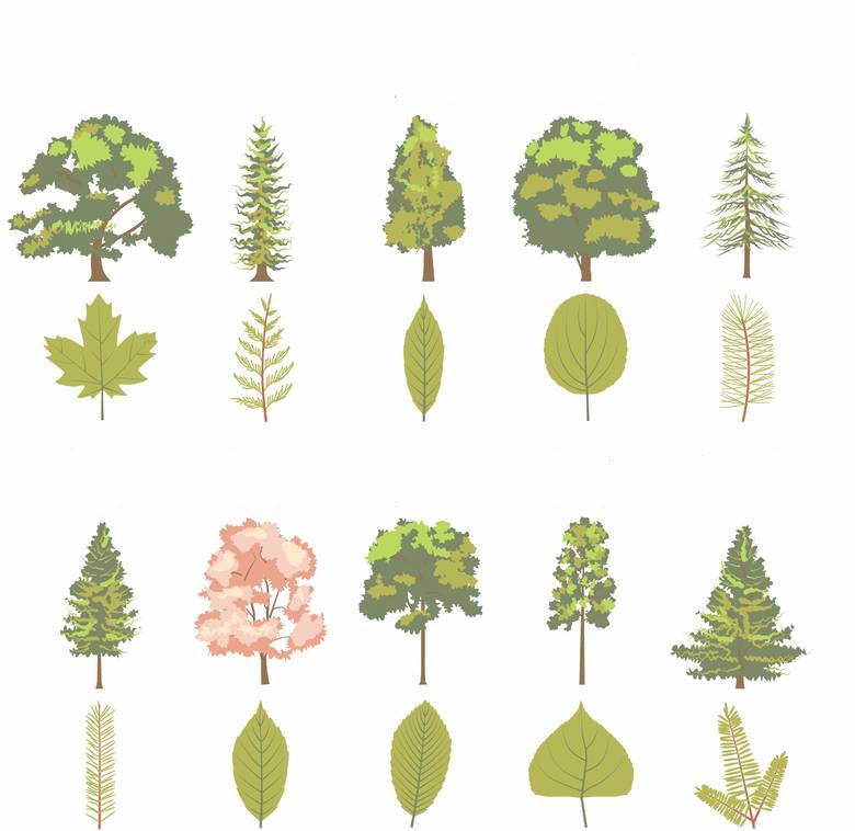 Click that Tree Quiz By kelleymiller376