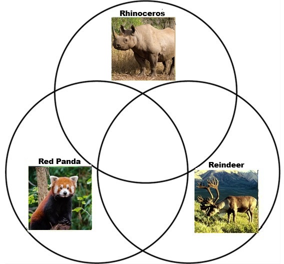 Venn Diagram : 'R' Animals Quiz - By harleydog