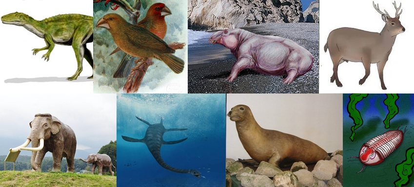 Extinct Animals of Japan Quiz - By Extinctanimals22