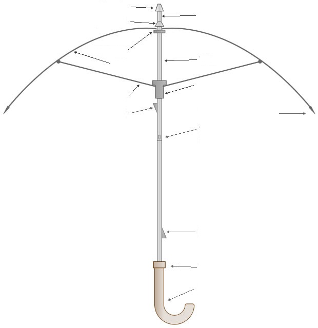 ☂ Parts of an Umbrella ☂ Quiz By Pilgab