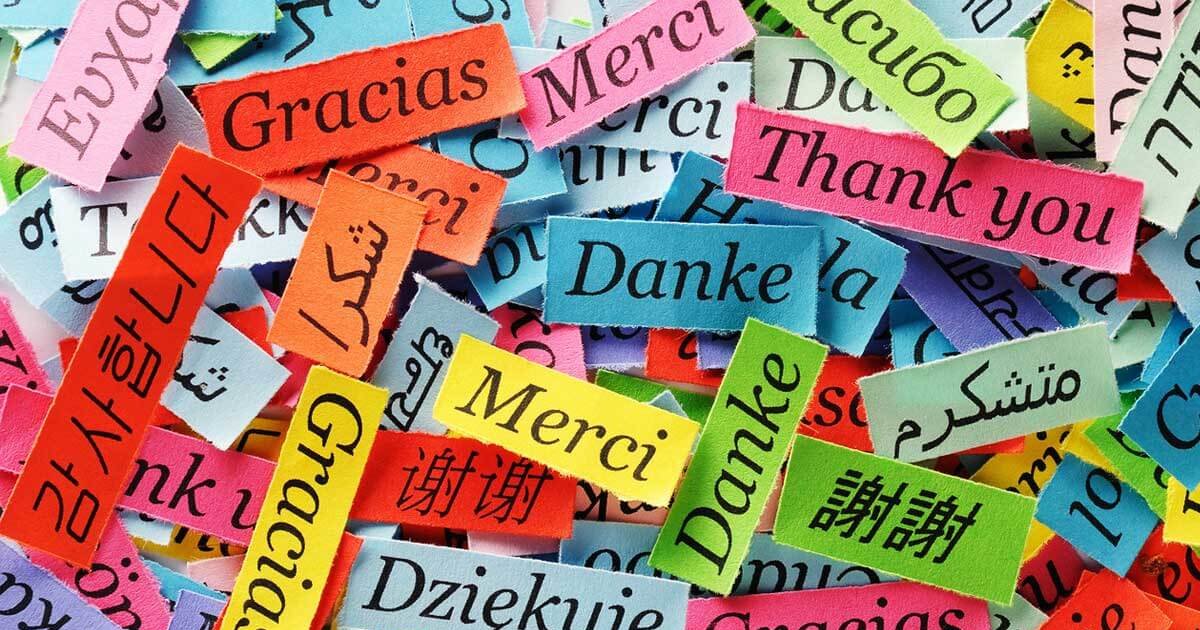 Intro to Language Quizzes Quiz Playlist