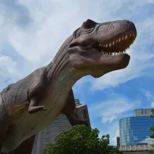 Anagram Blitz: Dinosaur or Bird