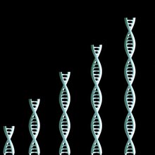 Word Strands: NBA Teams