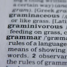 Vocabulary Blitz XCVII