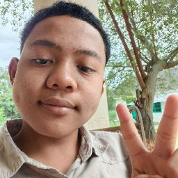 Sporcle profile picture for @Fadly
