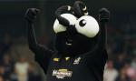 Sporcle profile picture for @wasps