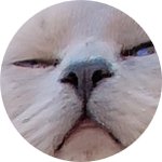 Sporcle profile picture for @jlucky