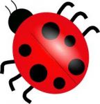 Sporcle profile picture for @bug