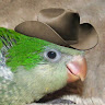 Sporcle profile picture for @plains