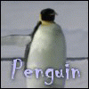 Sporcle profile picture for @Lindsay