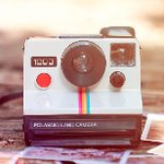 Sporcle profile picture for @Polaroid