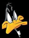 Sporcle profile picture for @daffy