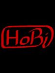 Sporcle profile picture for @HoBi